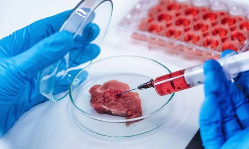  Αυτό είναι το πρώτο εργοστάσιο συνθετικών κρεάτων στον κόσμο